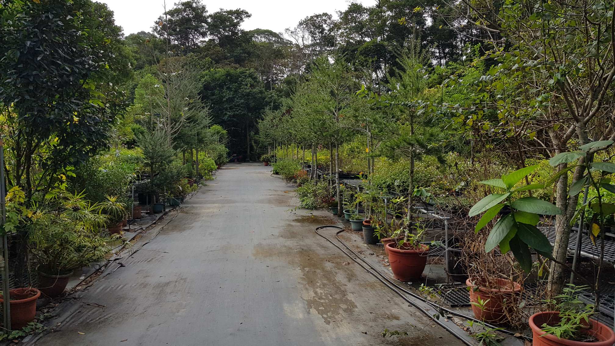 百草谷藥用植物園