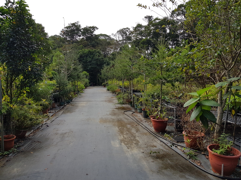 百草谷藥用植物園