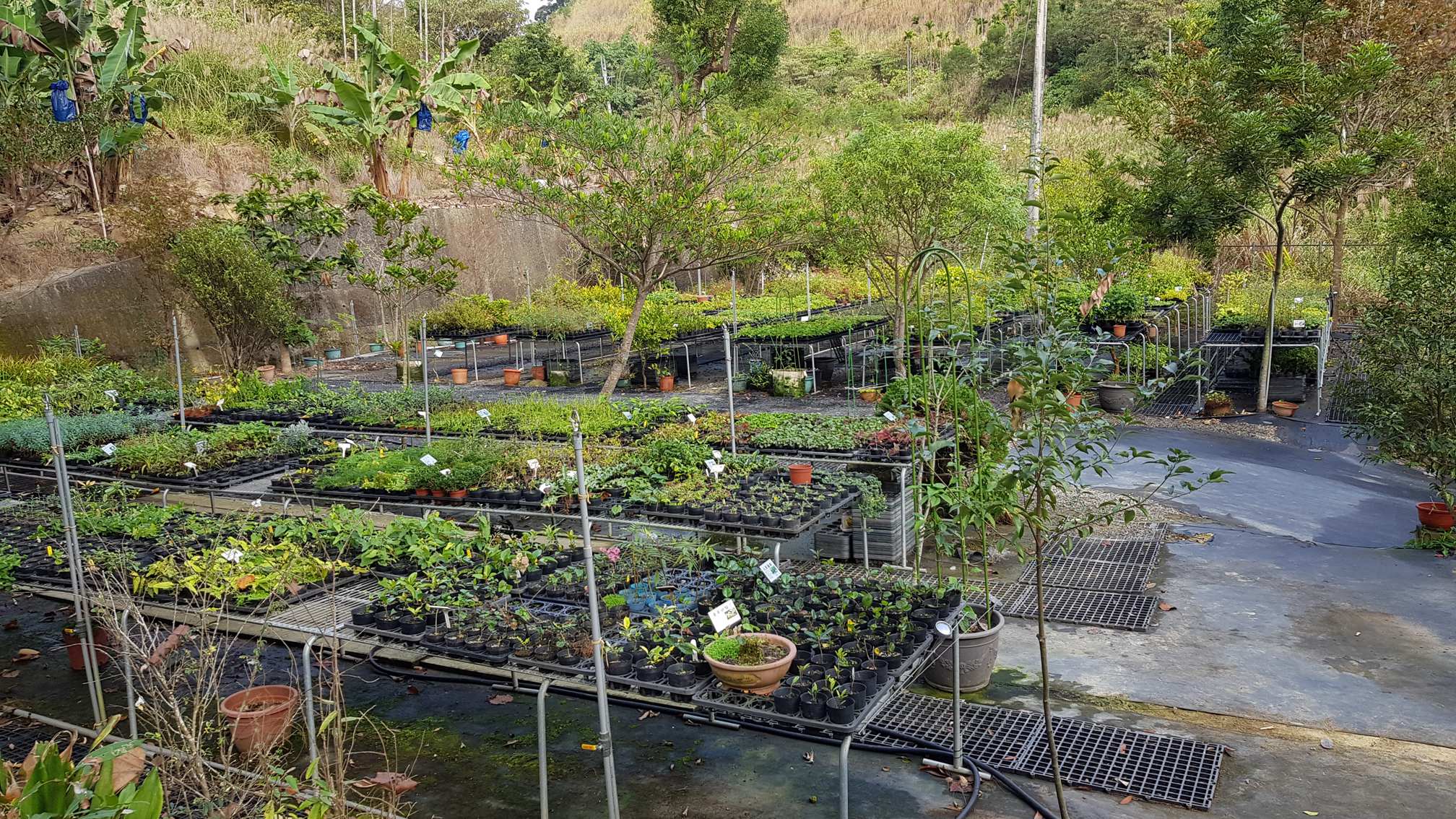 百草谷藥用植物園