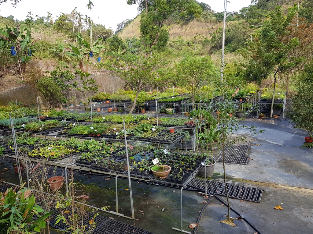 百草谷藥用植物園