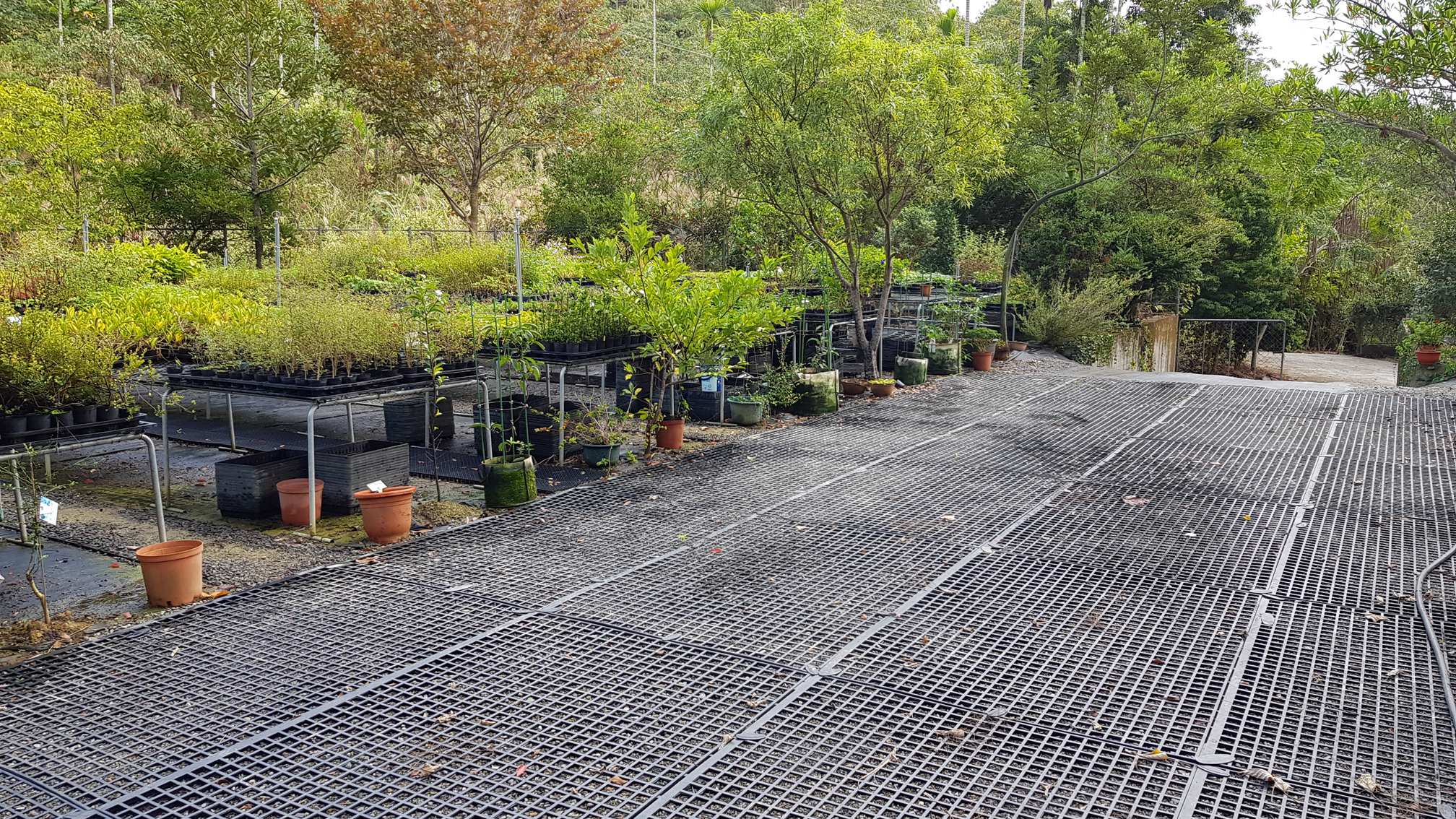 百草谷藥用植物園