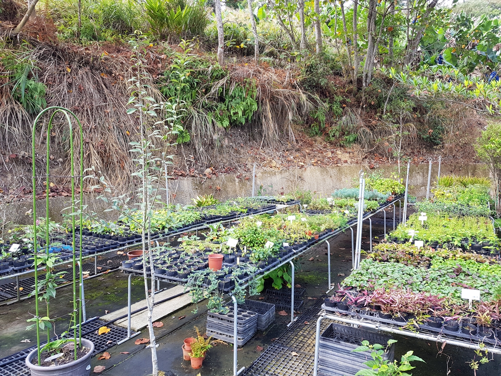 百草谷藥用植物園