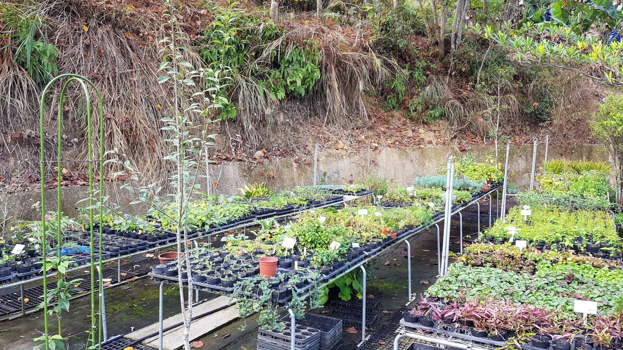 百草谷藥用植物園