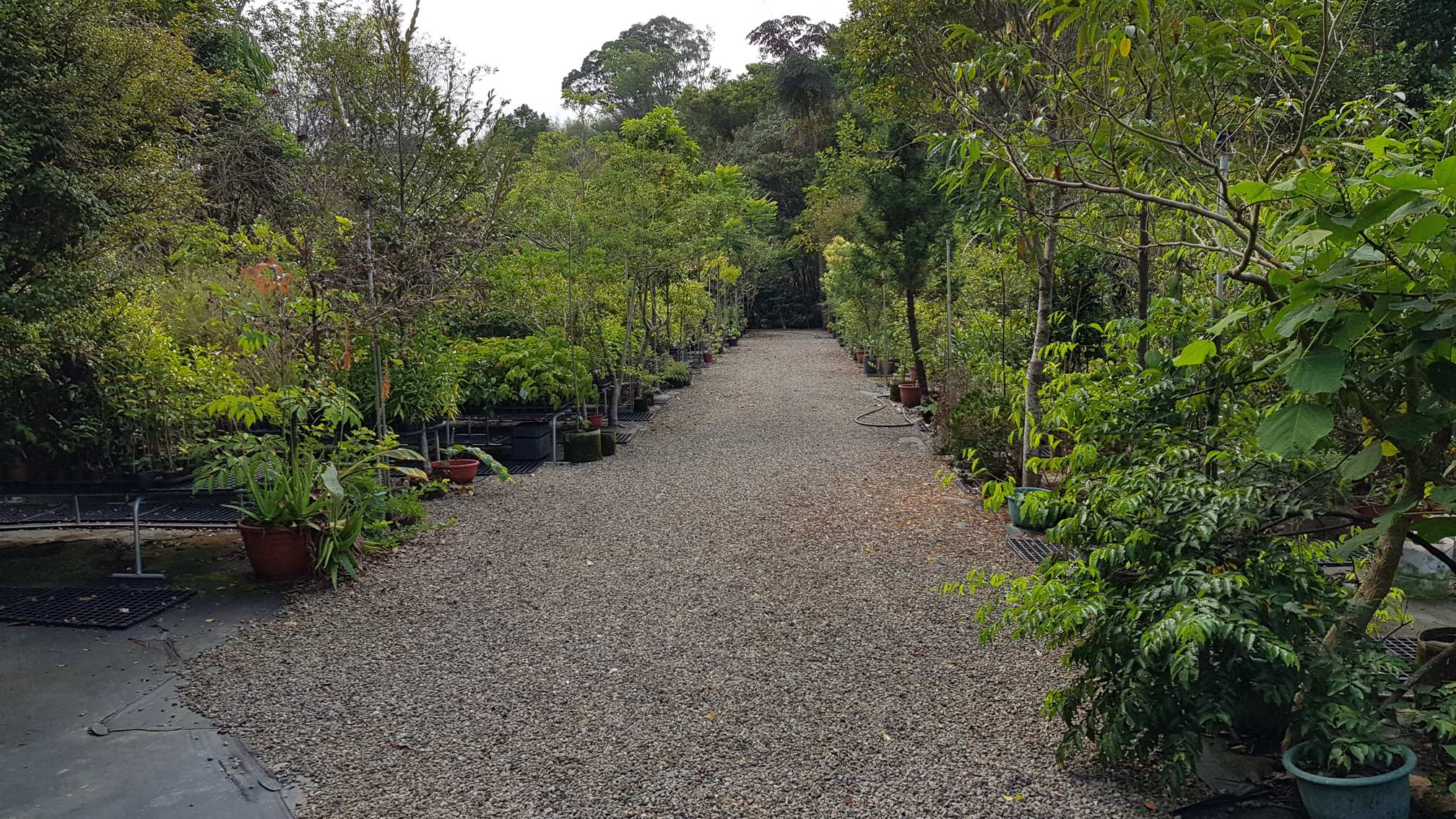 百草谷藥用植物園