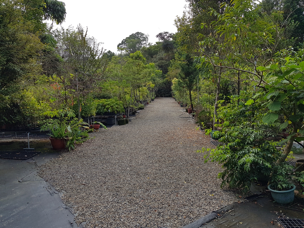 百草谷藥用植物園