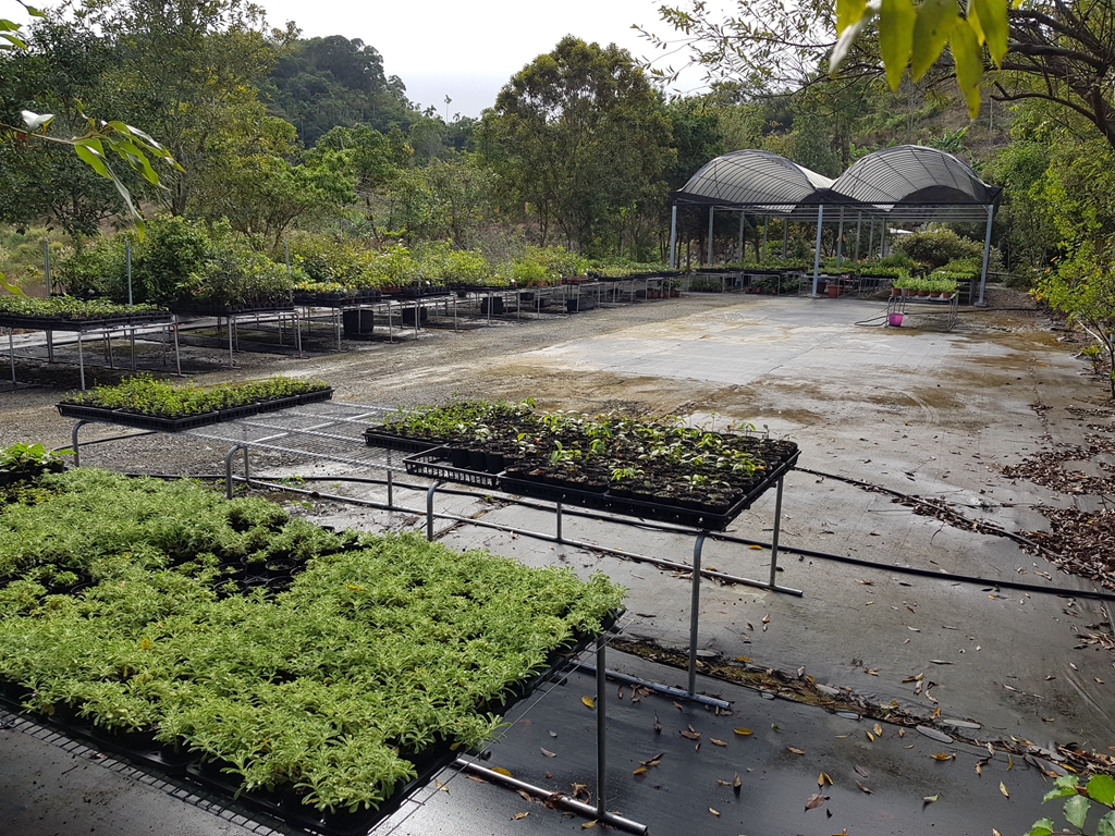 百草谷藥用植物園