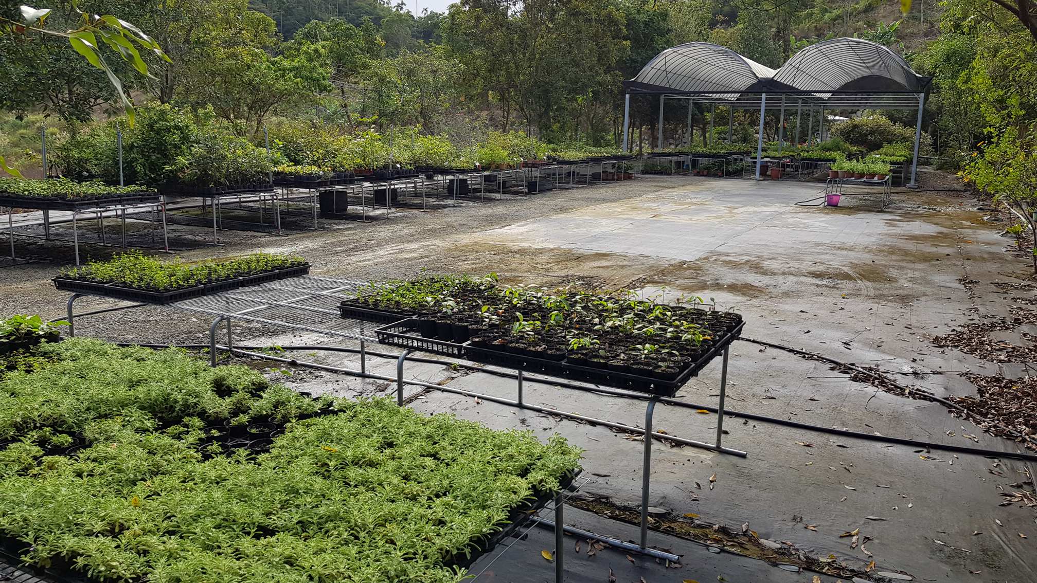 百草谷藥用植物園