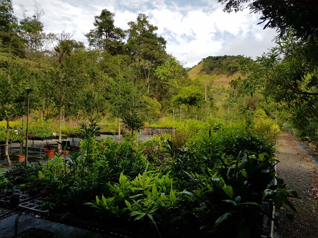 百草谷藥用植物園