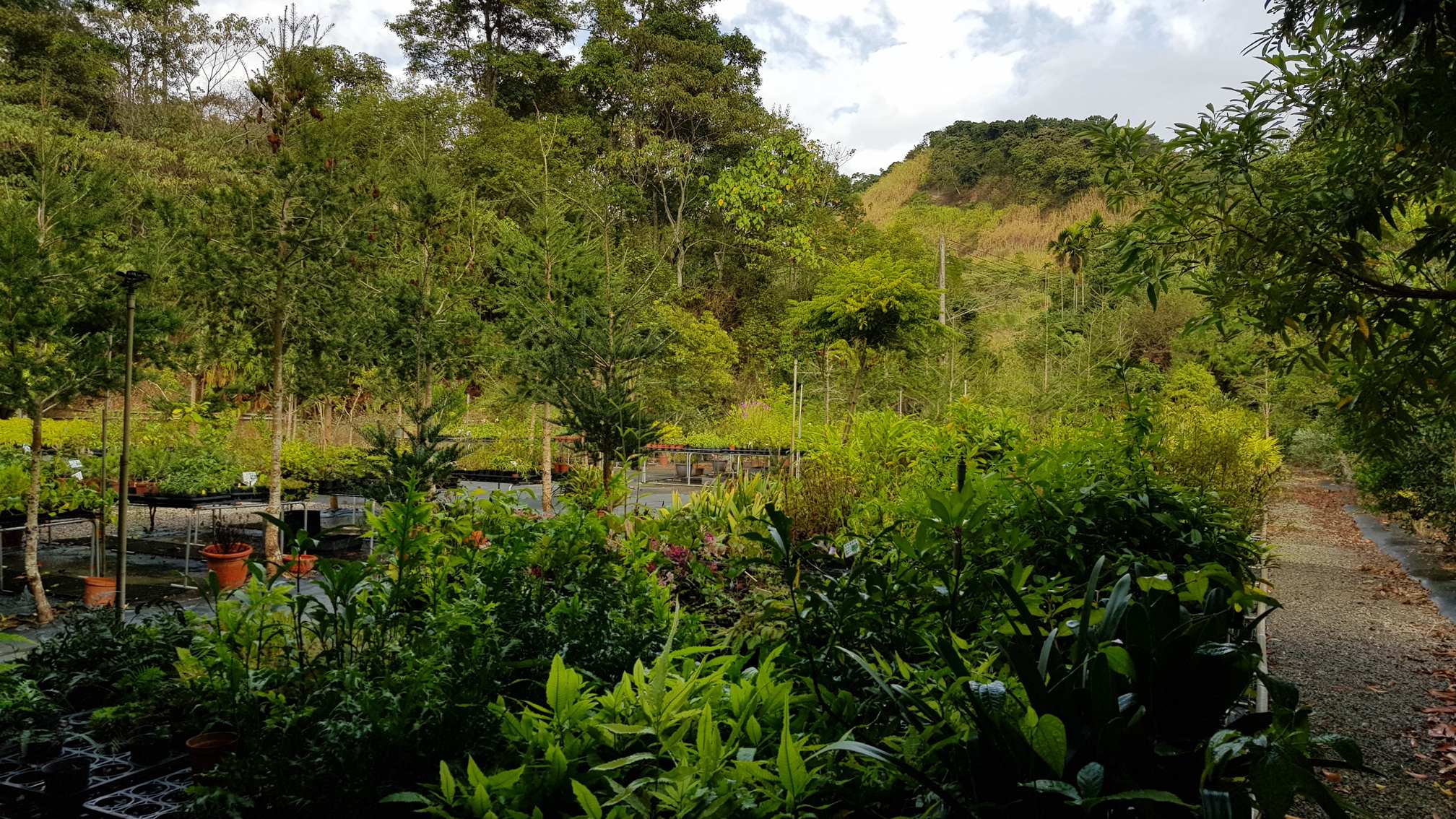 百草谷藥用植物園