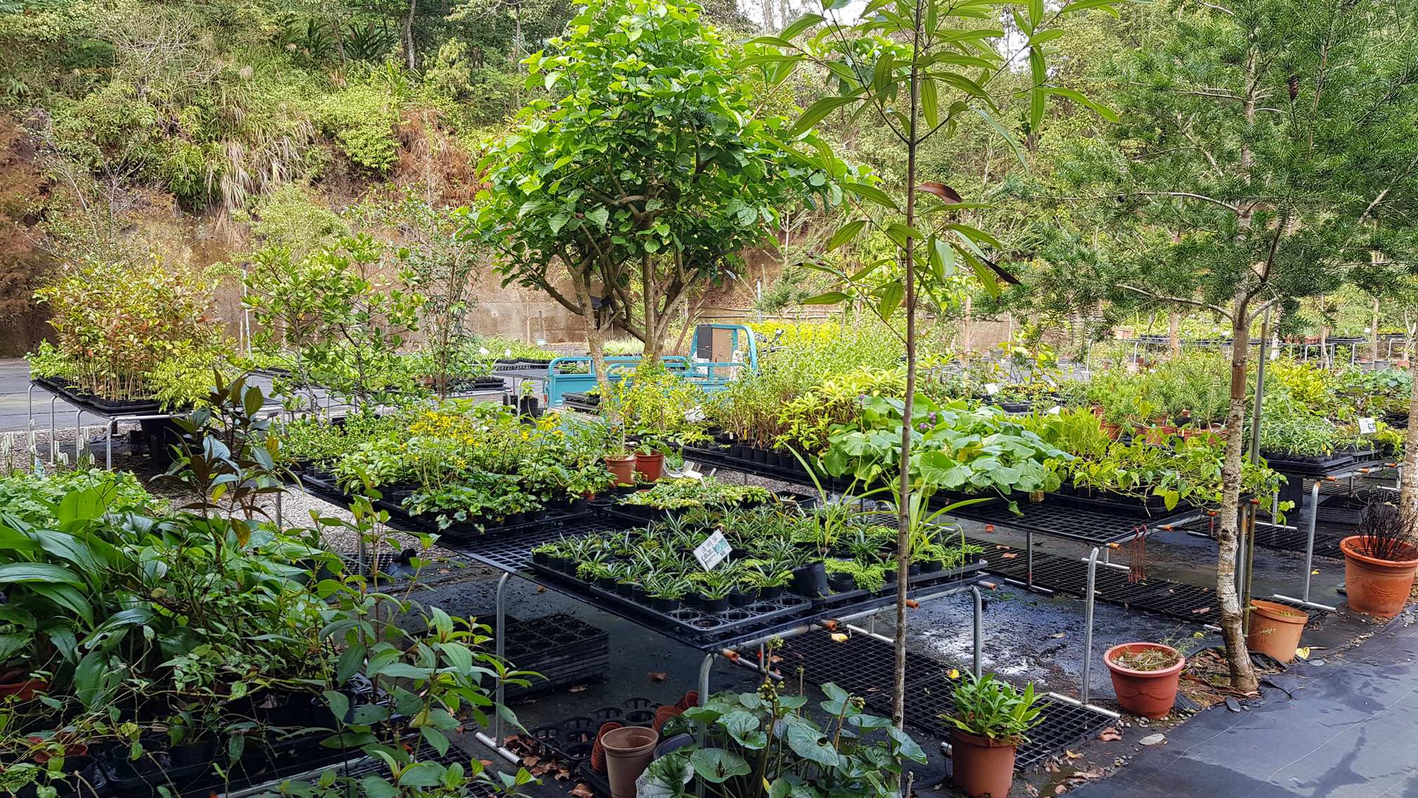 百草谷藥用植物園