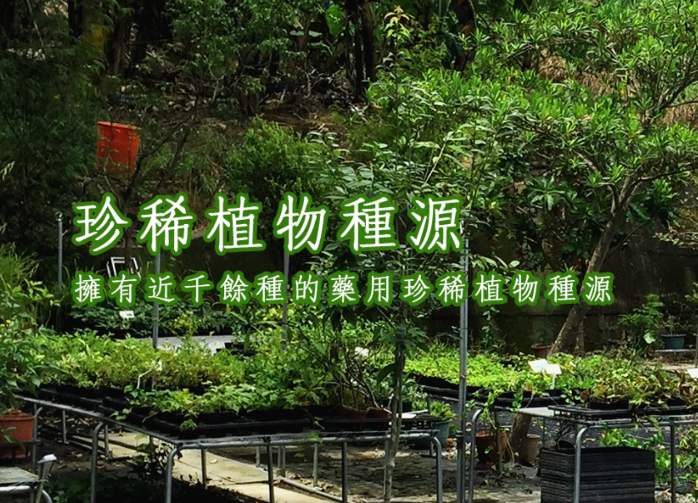 圖片名稱
