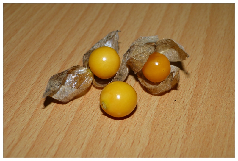 產品名稱